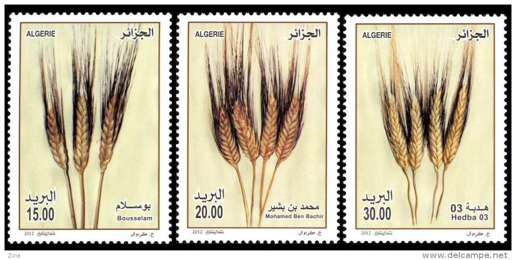Trois variétés locales de blé (timbres)
